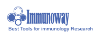 immunoway抗體試劑盒