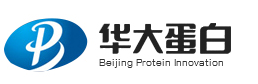 華大蛋白